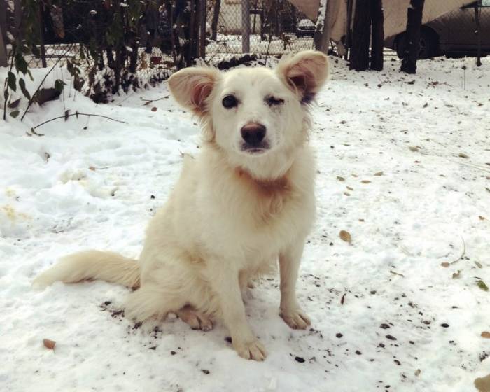 Срочно отдаем в хорошие ручки! , фотография 5