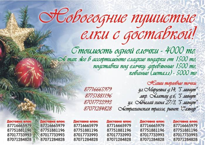 Служба Доставки Новогодних Елок!, фотография 1