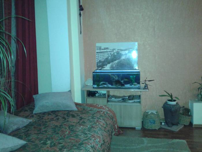 Продам 1 комн кв рн Тропикаль, фотография 1