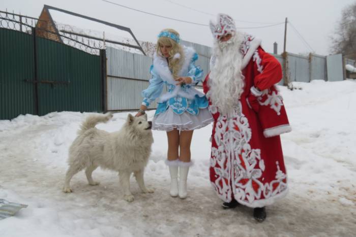 Те самые Дед Мороз и Снегурочка!!!, фотография 2