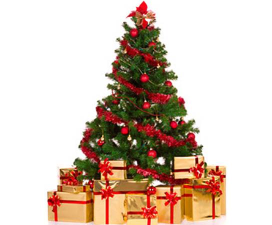 Новогодние елки оптом по СНГ, фотография 3