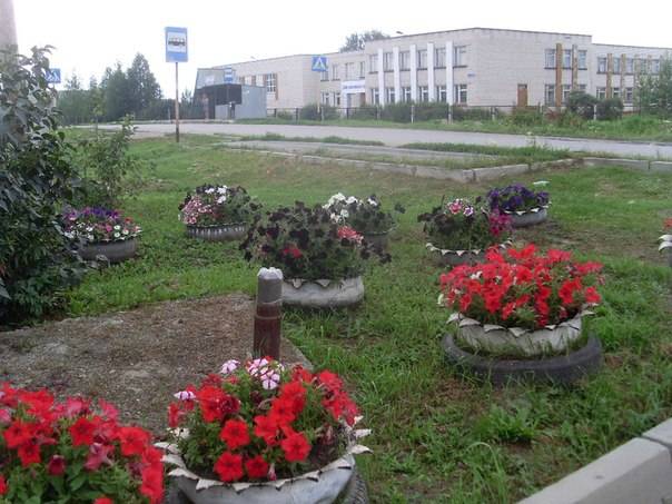 Действующий тепличный бизнес, фотография 2