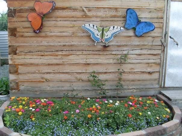 Действующий тепличный бизнес, фотография 5