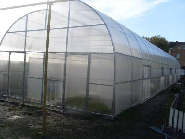 Действующий тепличный бизнес, фотография 7
