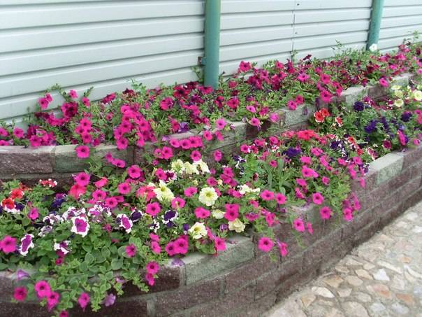 Действующий тепличный бизнес, фотография 8