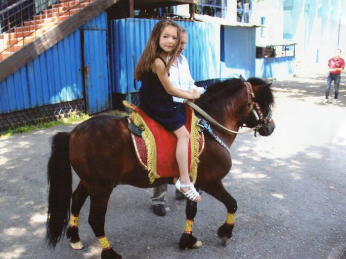 кони , фотография 2