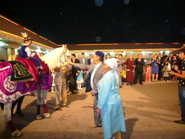 кони , фотография 5