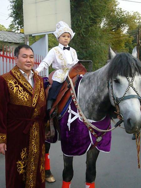 кони , фотография 6