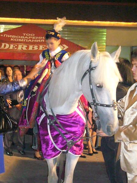 кони , фотография 7