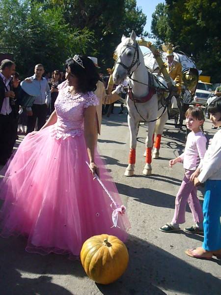 кони , фотография 8