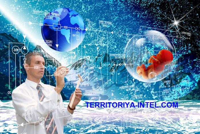 информационные технологии, фотография 1