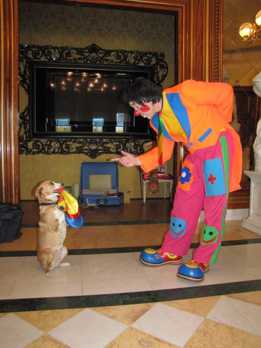 Цирковой клоун Азюня, фотография 1