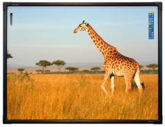 Проекционное и интерактивное оборудование, фотография 5