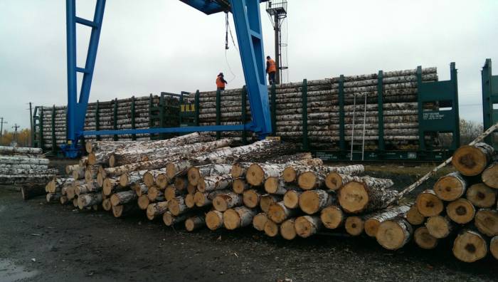 Продажа обрезной доски, круглого леса - производитель из Свердловской области, фотография 4