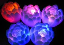 Сделай жизнь ярче!, фотография 3