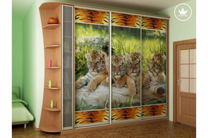 Шкаф купе на заказ с 30% скидкой, фотография 1