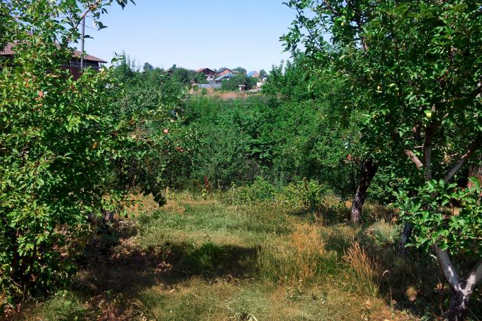 Продам кирпичный дом с участком 9,5 соток, фотография 7