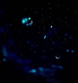 Бизнес ниша , фотография 1