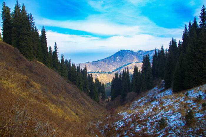 Профессиональное видео, фото, фотография 5