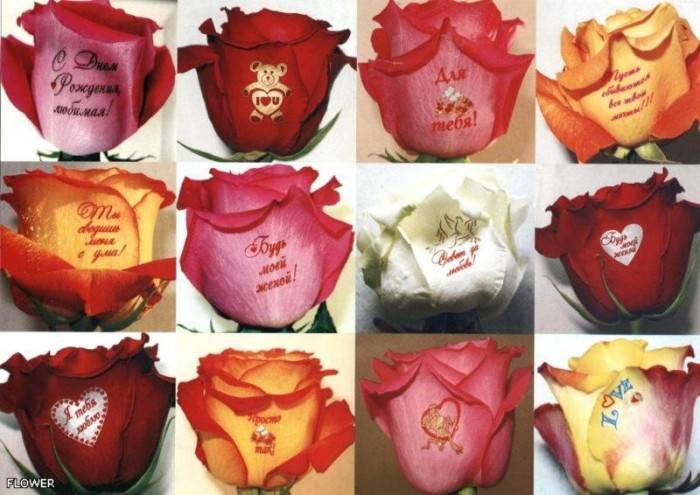 Светящиеся живые цветы с наклейками, фотография 7