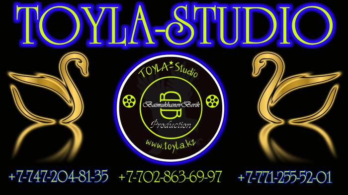 Профессиональное Фото-Видео Съемки...Доступные Цены.от ТОЙЛА-студия., фотография 6