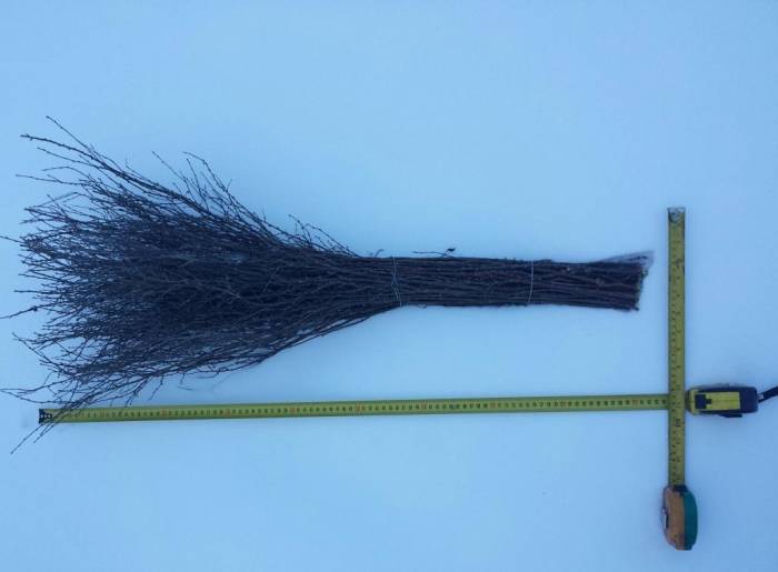 Продам веники чилижные (чилига) оптом., фотография 1