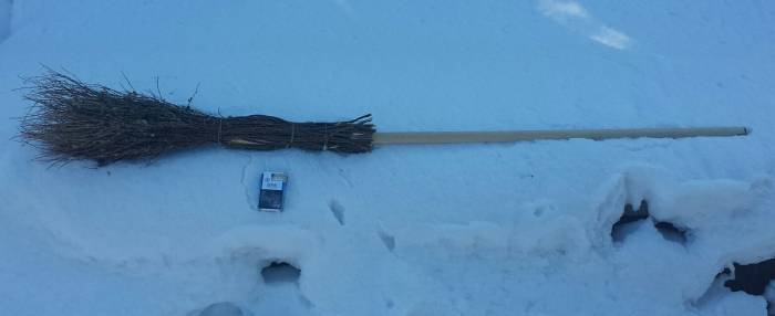 Продам веники чилижные (чилига) оптом., фотография 4