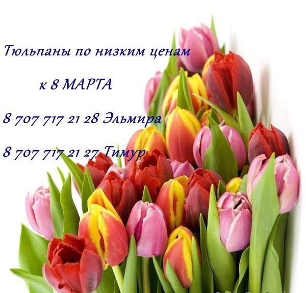 Тюльпаны, фотография 1