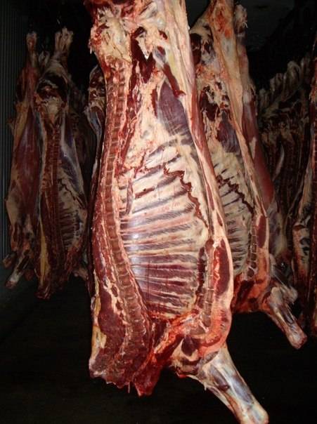 мясо говядины охлажденное, заморозка, фотография 1