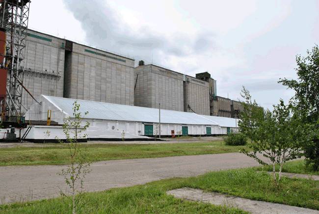 Мука и Отруби оптом от Производителя, фотография 2