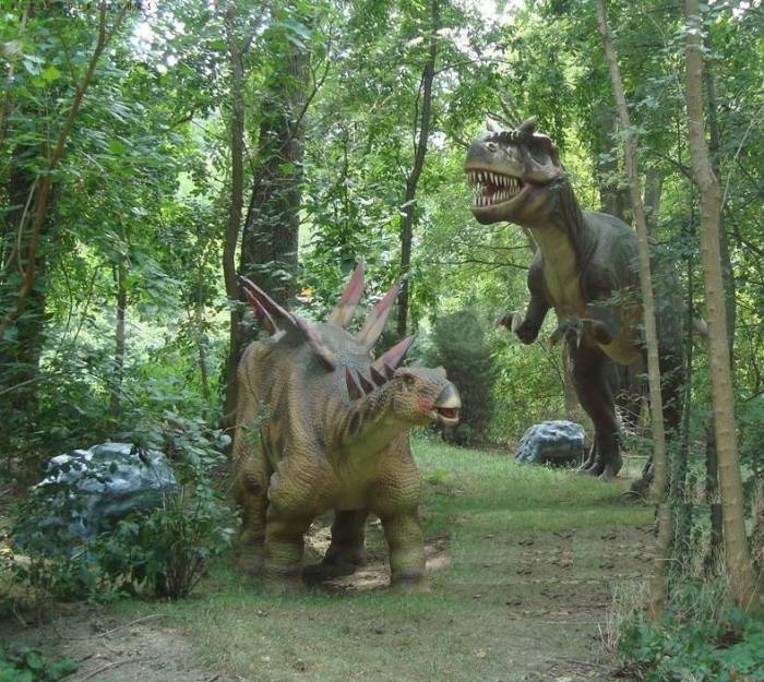 Аттракционы, фотография 11