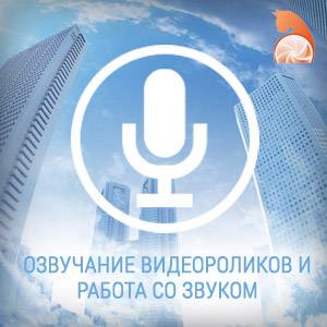 Озвучание видеороликов и работа со звуком, фотография 1