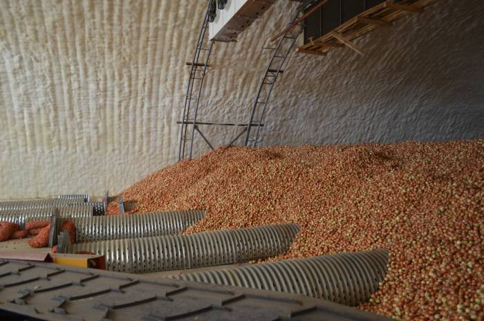 Овощехранилища, фотография 6