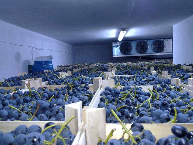 Холодильные камеры, фотография 3