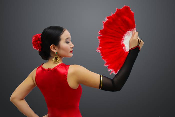 Ансамбль - танца 