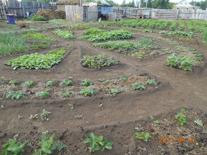 Дом село Павлодарское, фотография 8