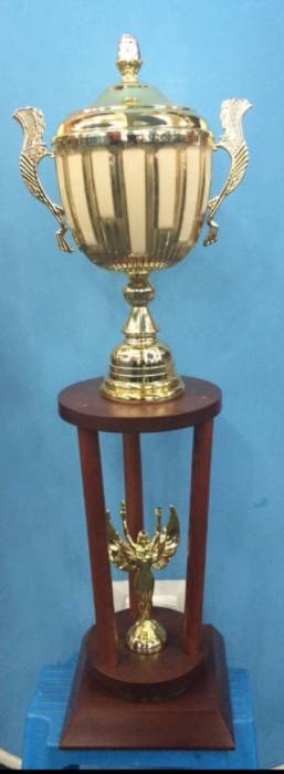 Наградные спортивные кубки в Алматы, фотография 1