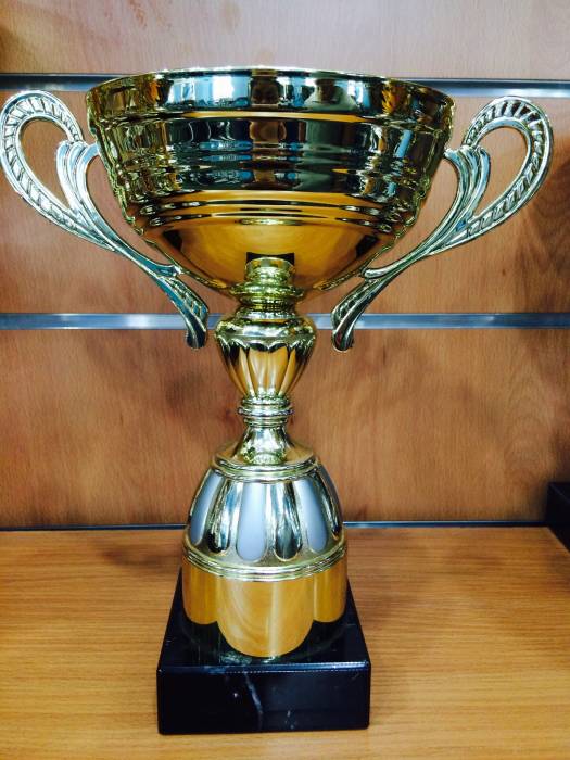 Наградные спортивные кубки в Алматы, фотография 2