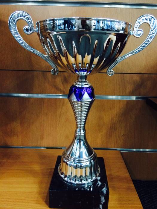 Наградные спортивные кубки в Алматы, фотография 3