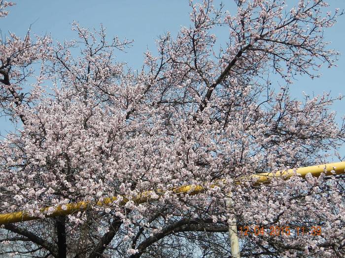 Продам квартиру, п.Алатау, Жетбаева, фотография 3