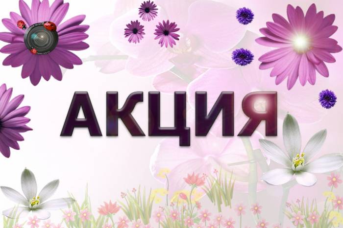 Фото и видео услуги на свадьбу АКЦИЯ от BV STUDIO, фотография 1