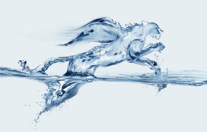 сарыагаш минеральная вода, фотография 2