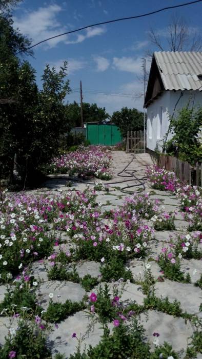 Продажа дома, фотография 1