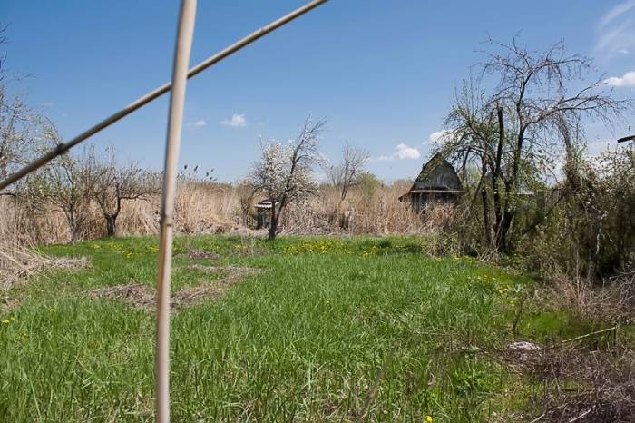 Продам два дачных участка по 6 соток, фотография 2