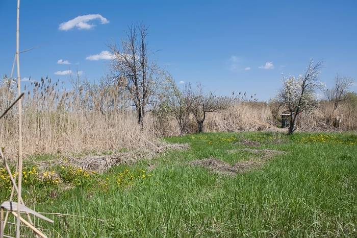 Продам два дачных участка по 6 соток, фотография 3