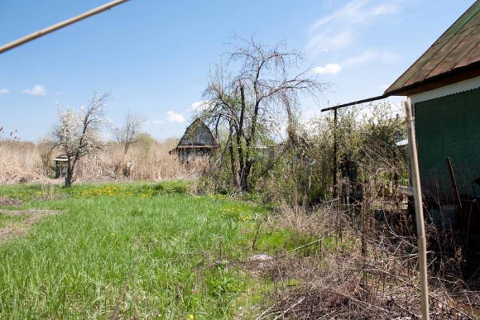 Продам два дачных участка по 6 соток, фотография 4