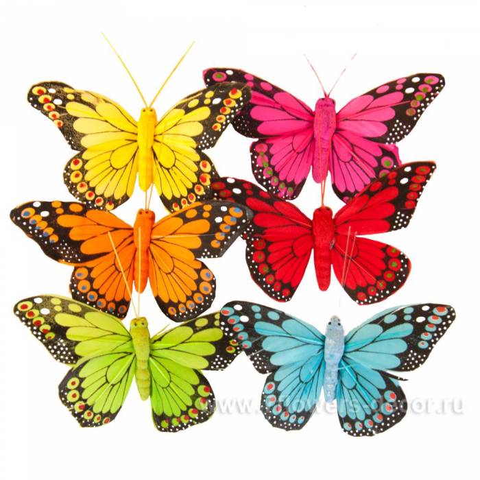 Флористический материал, фотография 4