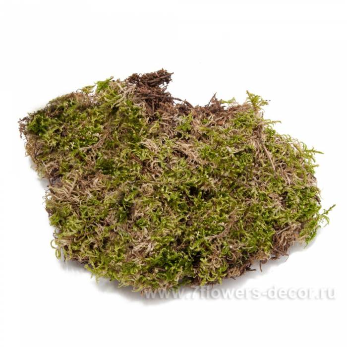 Флористический материал, фотография 8