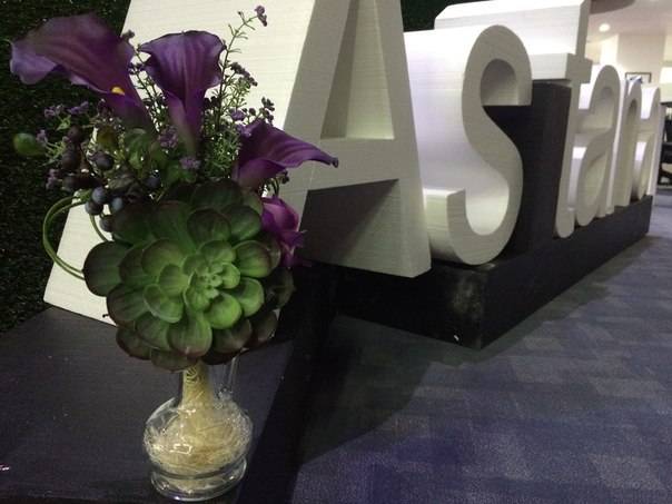 Terra Fiori / Терра Фиори, фотография 6