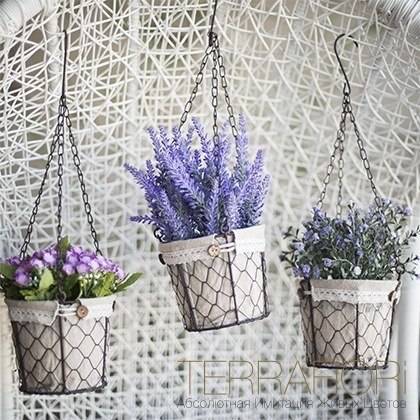 Terra Fiori / Терра Фиори, фотография 10